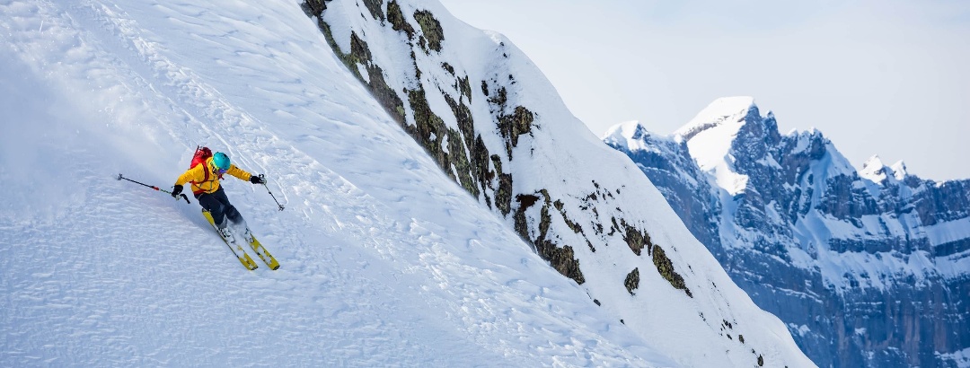 Ski freeride : En route pour l'aventure dans la neige profonde !