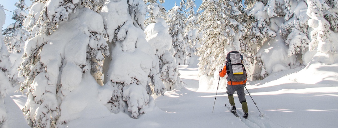 Tranquillity and beautiful landscapes await you on a ski traverse