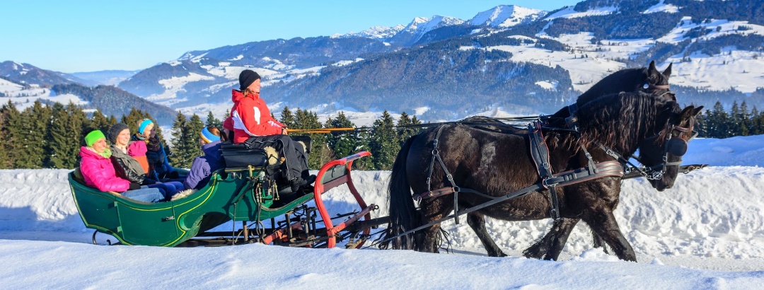 With the horse-drawn sleigh through the snow-covered landscape